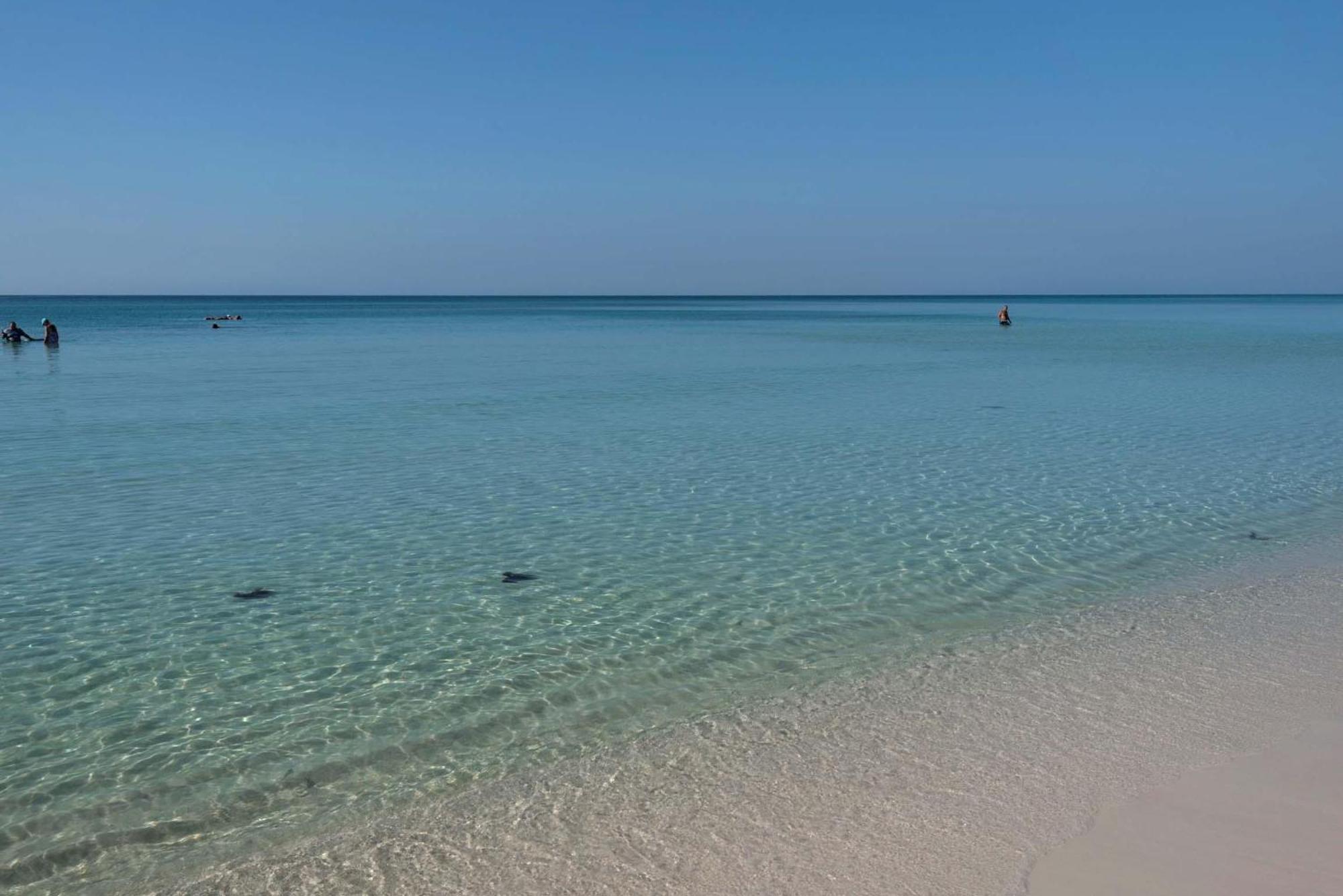 Majestic Sun 1014B- Shades Of Blue Aparthotel Miramar Beach Exterior foto